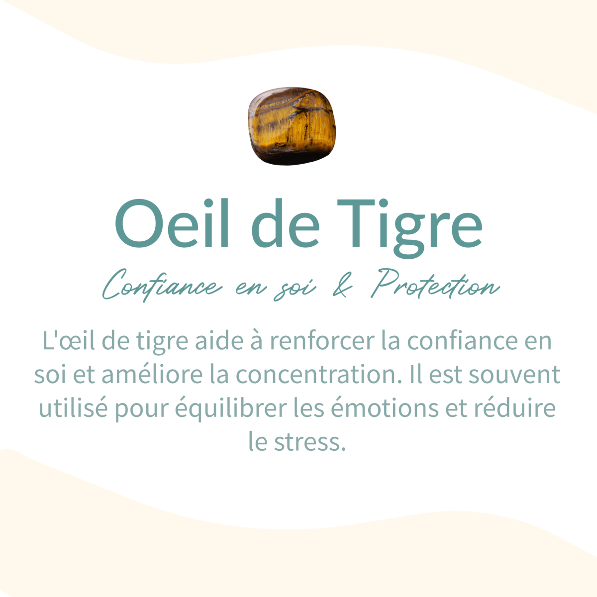 Bracelet Apatite & Œil de Tigre — Harmonie Intérieure & Confiance
